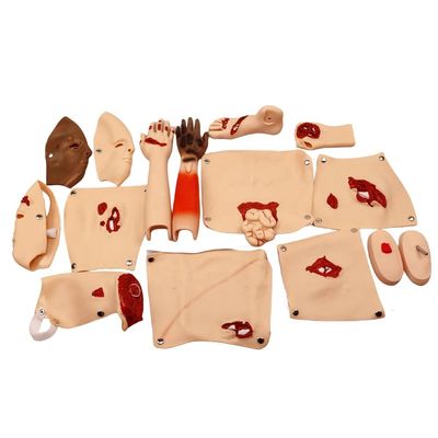 Geavanceerde PVC-trauma-modellen voor training in wondverpleegkunde en demonstratie van patiëntenzorg