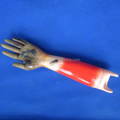 Geavanceerde PVC-trauma-modellen voor training in wondverpleegkunde en demonstratie van patiëntenzorg
