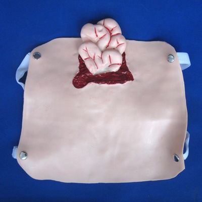 Geavanceerde PVC-trauma-modellen voor training in wondverpleegkunde en demonstratie van patiëntenzorg