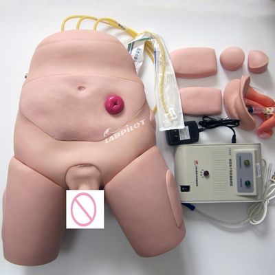Elektronische monitor Urethral Catheterisation Training Simulator voor verpleegkundige vaardigheden
