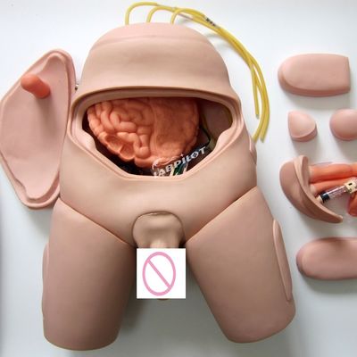 Elektronische monitor Urethral Catheterisation Training Simulator voor verpleegkundige vaardigheden