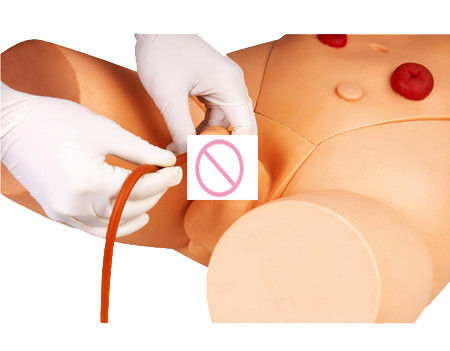 Elektronische monitor Urethral Catheterisation Training Simulator voor verpleegkundige vaardigheden