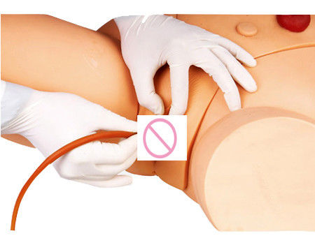 Elektronische monitor Urethral Catheterisation Training Simulator voor verpleegkundige vaardigheden