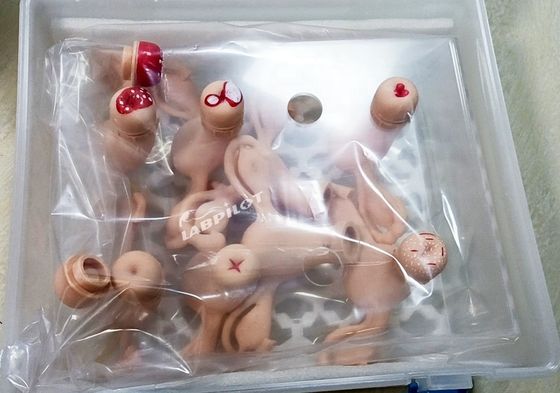Uterus simulator voor gynaecologisch anatomie model gebruikt in verpleegkunde-verloskunde en moederschap
