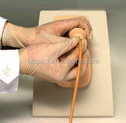 Mannelijke blaas model urethrale katheterisatie simulator voor patiënten zorg demonstratie