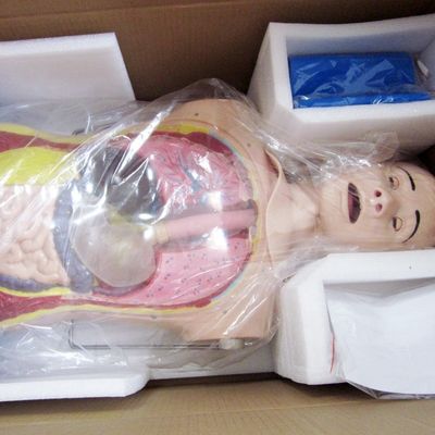 Innovatieve neus-maagbuis en luchtpijpvaardigheden Verpleegkundig mannequin met realistische kenmerken