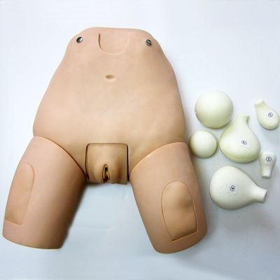 Geavanceerde fundus simulator voor baarmoederonderzoek Model postpartum vrouwelijke mannequin