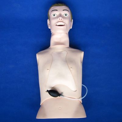 Professionele intubatie en zuigtrainingspop met verpleegkundige functie