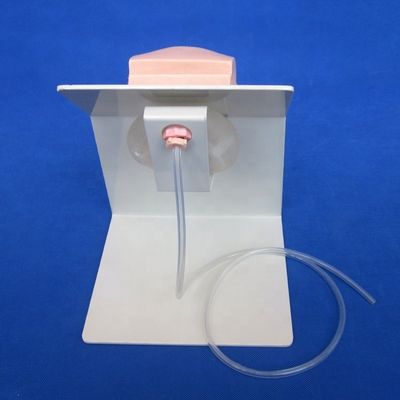 Realistisch menselijk mannequin Economisch mannelijk katheterisatie Onderwijs simulator Verpleegkunde Training Model