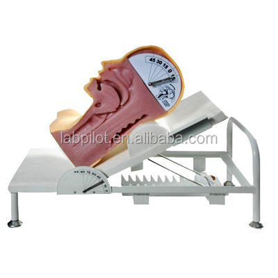 Mensengrootte Geavanceerde Swallow Mechanism Simulator voor training