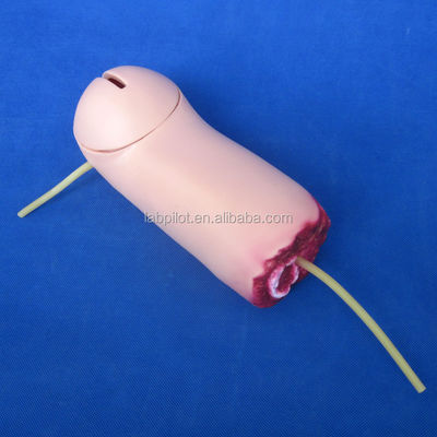 Armamputatie en hemostase-trainingsmodel Module voor verpleegkundige zorg voor scherp bloederende wonden
