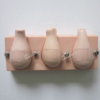 Patiëntenverzorging Demonstratie Kunstmatige abortus Gesimuleerde baarmoeder voor trainingsmodel