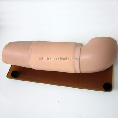 Mannequin voor verloskundige en gynaecologische vaardigheden Model anticonceptie Onderwijs Arm Model