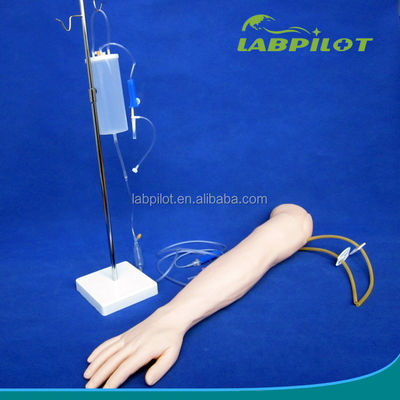 Intravenous Infusion and Injection Teaching Arm Model voor medische simulatiepraktijk