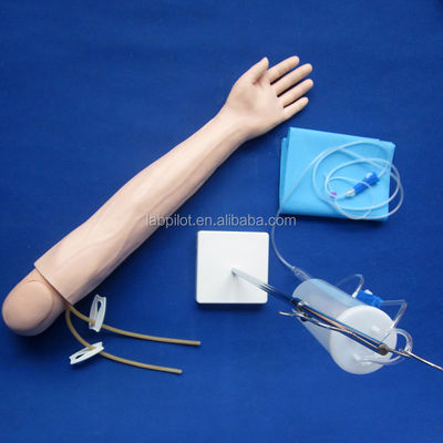 Intravenous Infusion and Injection Teaching Arm Model voor medische simulatiepraktijk