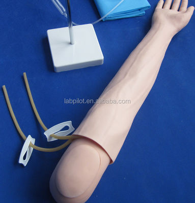 Intravenous Infusion and Injection Teaching Arm Model voor medische simulatiepraktijk