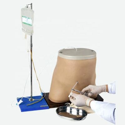 Peritoneale dialyse-trainingssimulatormodel met geavanceerd PVC-materiaal