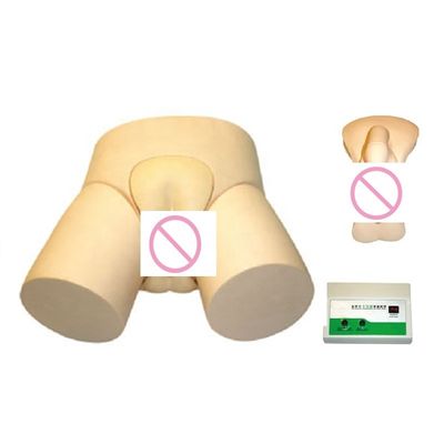 Geavanceerd PVC Elektronisch Urethraal Katheterisatie en Enema Training Model voor professionals