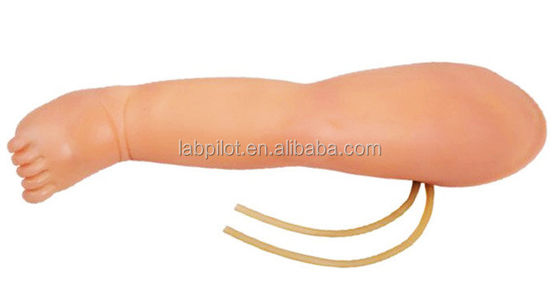 Injectie-simulator voor het trainen van baby-venenetuctie Leg IV met voordeel van geavanceerd PVC