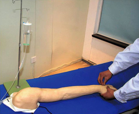 Volledig functionerend Advanced PVC Venous Transfusion and Injection Arm IV Training Model