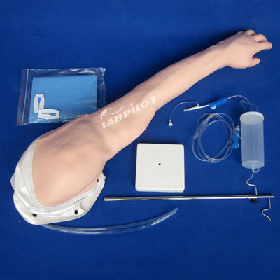 Volledig functionerend Advanced PVC Venous Transfusion and Injection Arm IV Training Model
