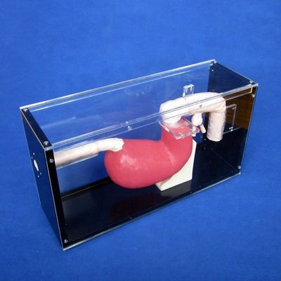 Medische esofagoscoopopleiding Gastroscoop en ERCP-trainer voor maag-darmlaesies