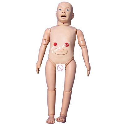 Kindergeneeskunde Anatomisch model voor de opleidingen in de kinderverzorging en -verzorging van 3-jarigen