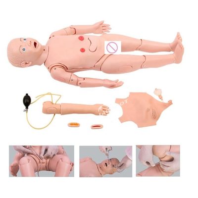 Kindergeneeskunde Anatomisch model voor de opleidingen in de kinderverzorging en -verzorging van 3-jarigen