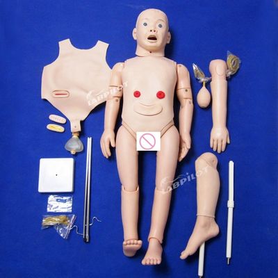 Kindergeneeskunde Anatomisch model voor de opleidingen in de kinderverzorging en -verzorging van 3-jarigen