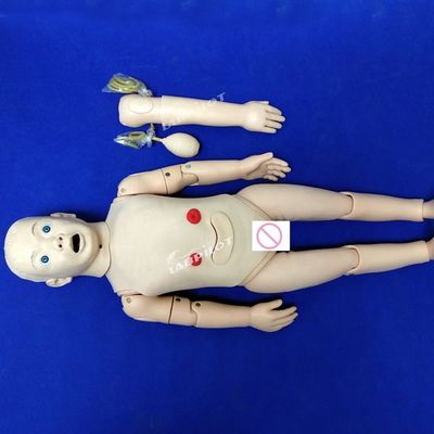 Kindergeneeskunde Anatomisch model voor de opleidingen in de kinderverzorging en -verzorging van 3-jarigen