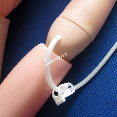 Basic Resuscitation and Nursing Skills Training Dummy voor menselijke levensgrootte zorgverleners