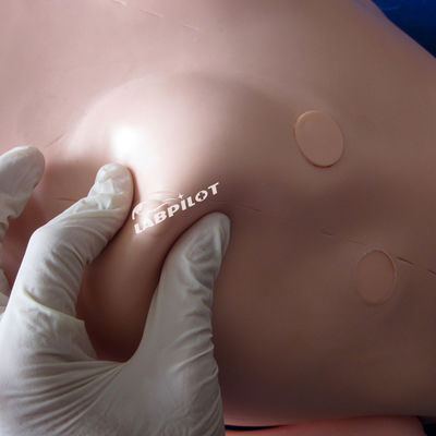 Basic Resuscitation and Nursing Skills Training Dummy voor menselijke levensgrootte zorgverleners