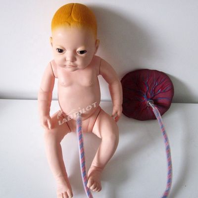 Geavanceerde PVC-modellen voor placentaverzorging voor pasgeboren babypoppen voor zorgverleners