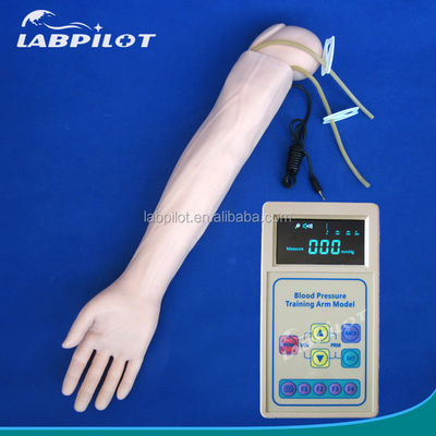 Geavanceerde PVC-mannequin voor medische praktijk Arm Simulatie en BP-meting Training