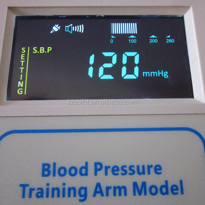 Geavanceerde PVC-mannequin voor medische praktijk Arm Simulatie en BP-meting Training