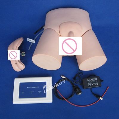Geavanceerde PVC-controller bediende katheterisatie-mannequin voor verpleegkunde