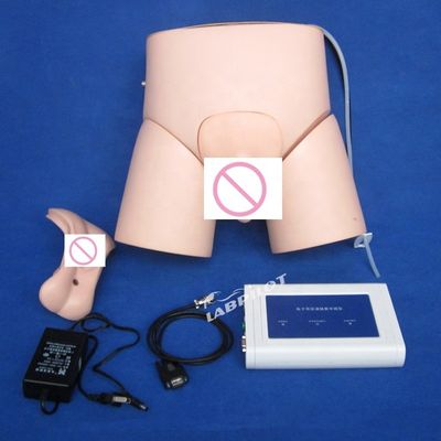 Geavanceerde PVC-controller bediende katheterisatie-mannequin voor verpleegkunde