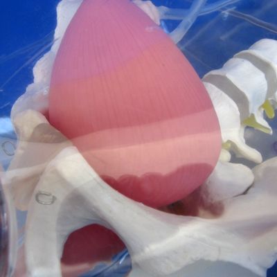 Geavanceerde PVC-transparante vrouwelijke urethrale katheterisatie-trainer voor verpleegkundige opleiding