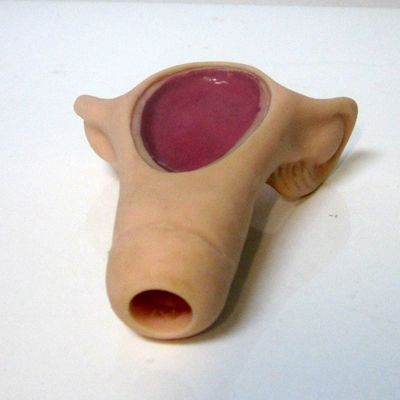 Patiëntenzorg Demonstratie Compact Handheld IUD Inbrengtrainer voor de medische wetenschap