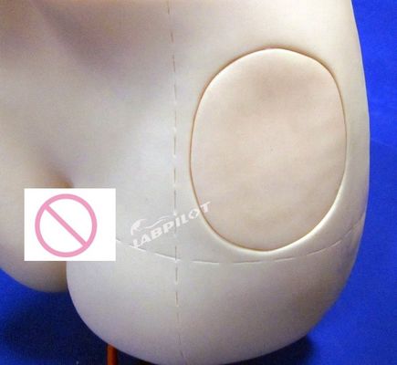 Klinieke verpleegkundeopleiding Simpel heupinjectie trainer IM Injectie onderwijsmodel