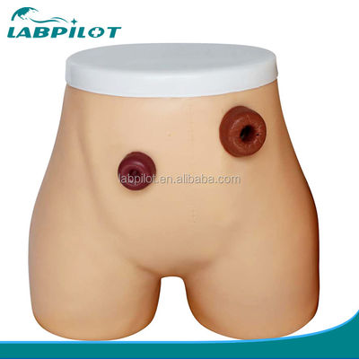 Geavanceerd PVC-ostomieverpleegkundig model voor Ileostomie- en Colostomie-opleiding in ziekenhuizen