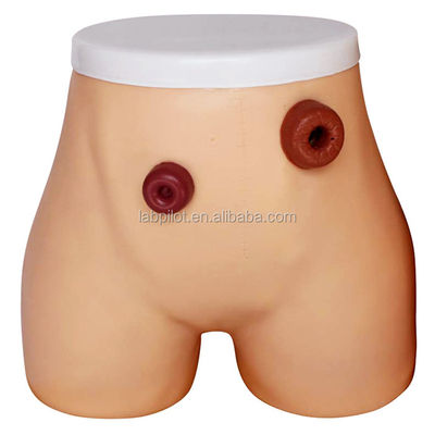 Geavanceerd PVC-ostomieverpleegkundig model voor Ileostomie- en Colostomie-opleiding in ziekenhuizen