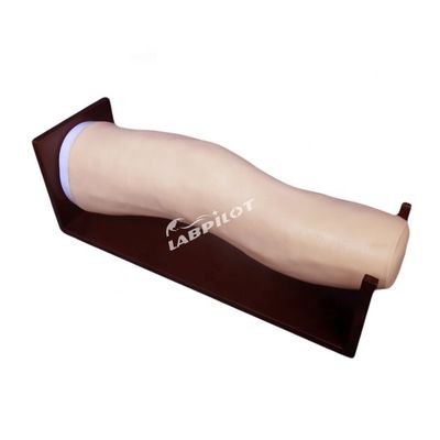 Geavanceerd PVC-kniemodel voor intra-articulaire injecties en gezamenlijke aspiratietraining