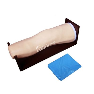 Geavanceerd PVC-kniemodel voor intra-articulaire injecties en gezamenlijke aspiratietraining