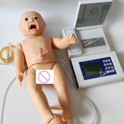 Categorieën Kinderarts Eerste Hulp CPR-opleiding Pop voor volledig functionele pasgeborenen