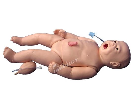 ACLS Neonatale verpleegkunde Mannequin Mensenlevensgrootte Onderwerp voor het onderwijzen van medische wetenschappen