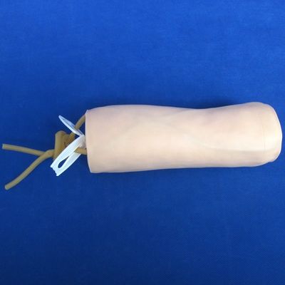 Medische wetenschappen Economische zachte venenectuur en IV-injectie Onderwijsmodel Elmboogpunctie simulator