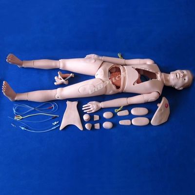 Patiëntenzorg Demonstratie Geavanceerde medische wetenschappen Verpleegkunde Mannequin met interne organen