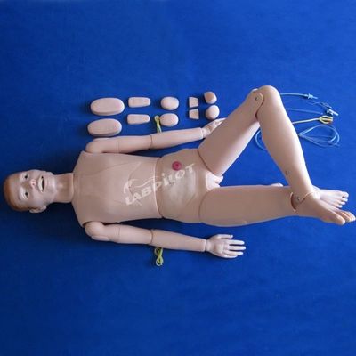 Patiëntenzorg Demonstratie Geavanceerde medische wetenschappen Verpleegkunde Mannequin met interne organen