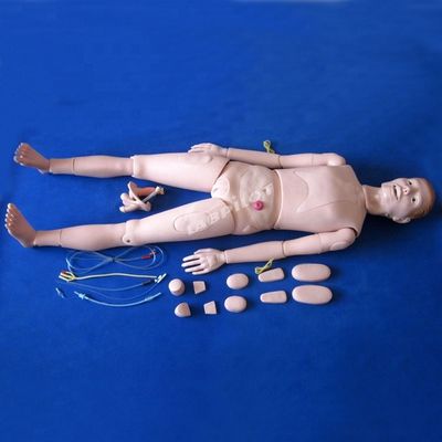 Patiëntenzorg Demonstratie Geavanceerde medische wetenschappen Verpleegkunde Mannequin met interne organen